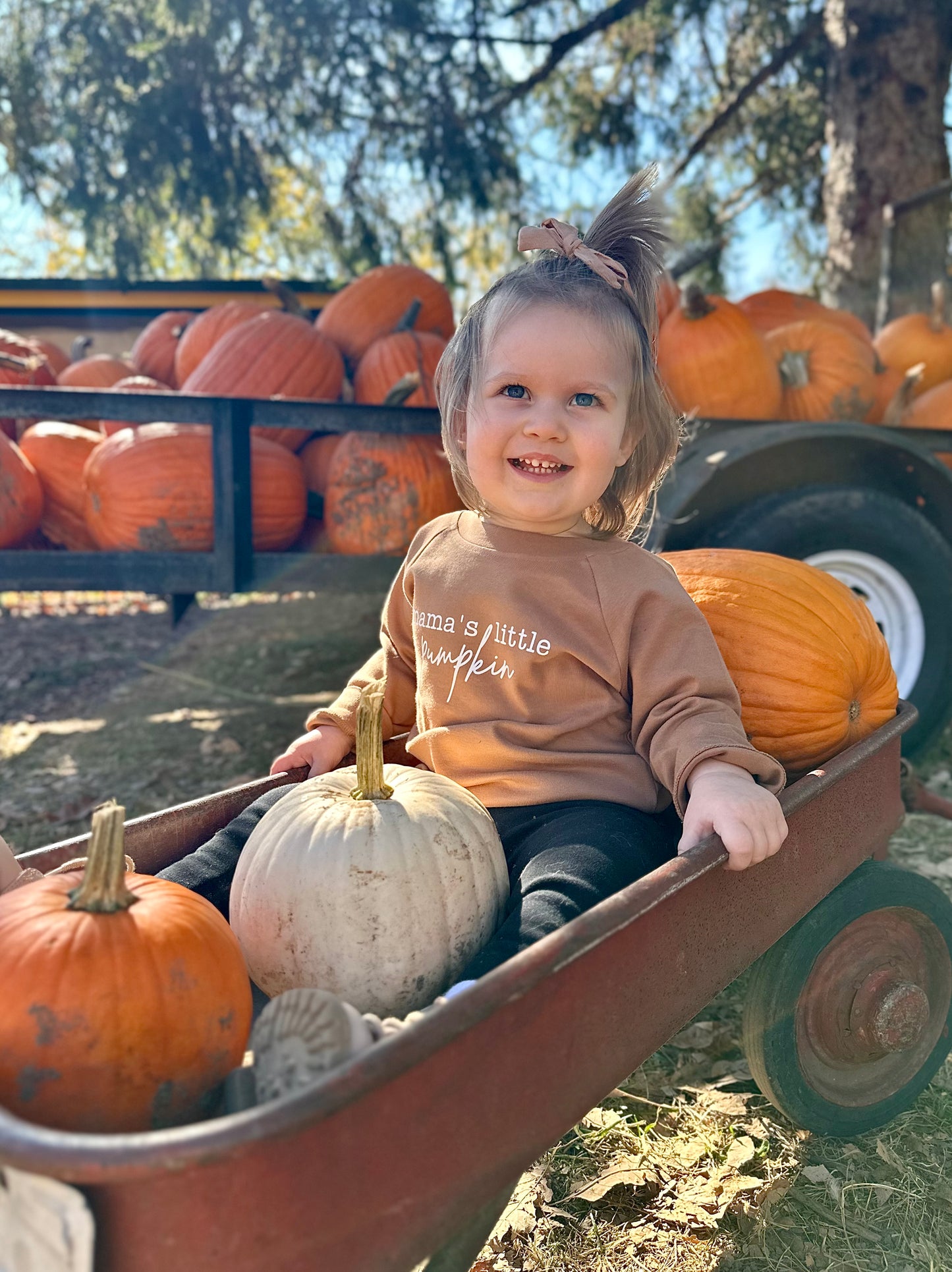 Mama's Little Pumpkin Cotton Pullover